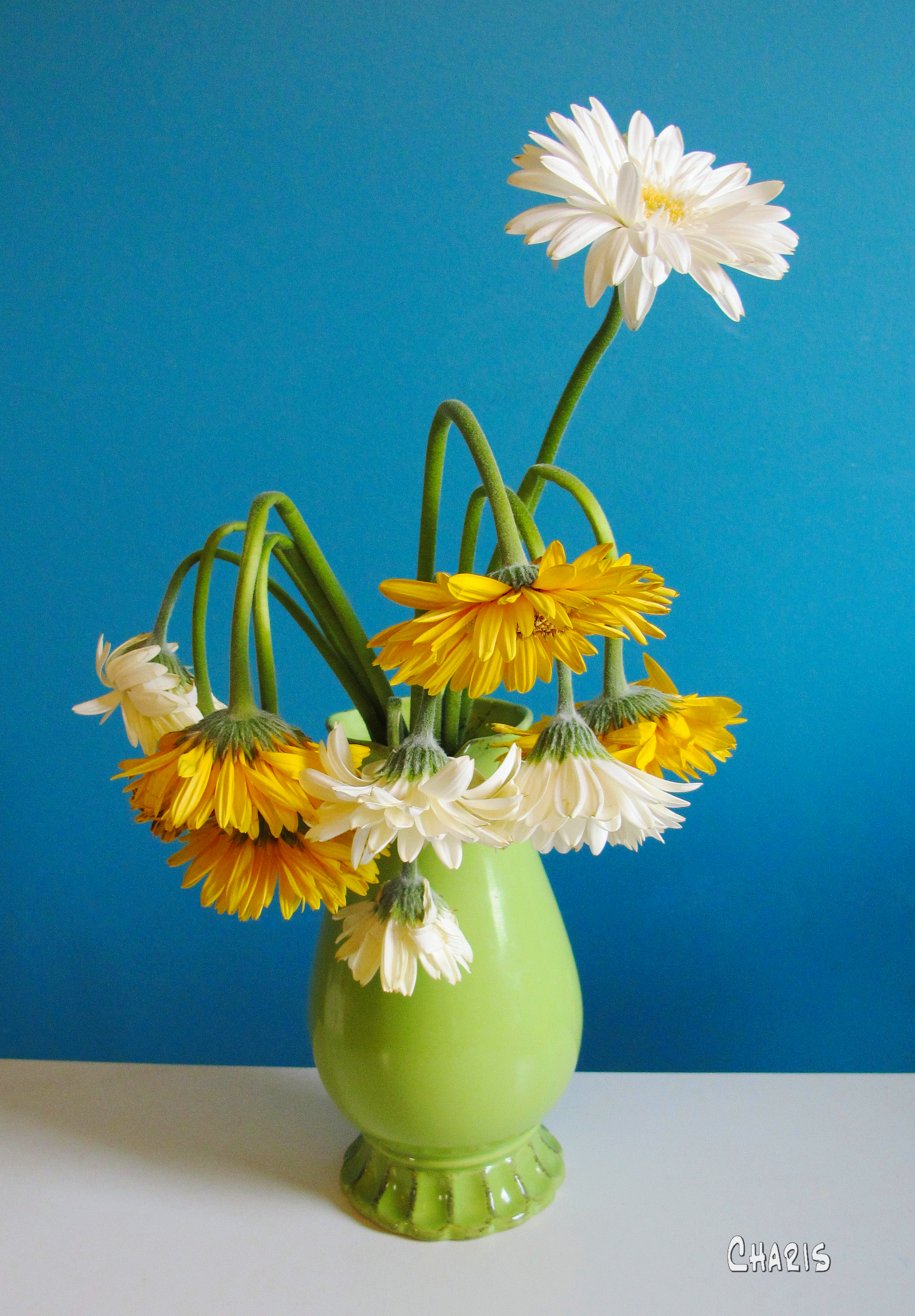 green vase limp flowers