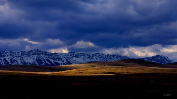 cowboy trail sunliy field IMG_0978