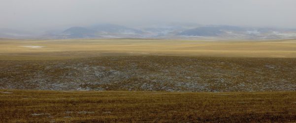 hwy 22 winter field grey day IMG_6520