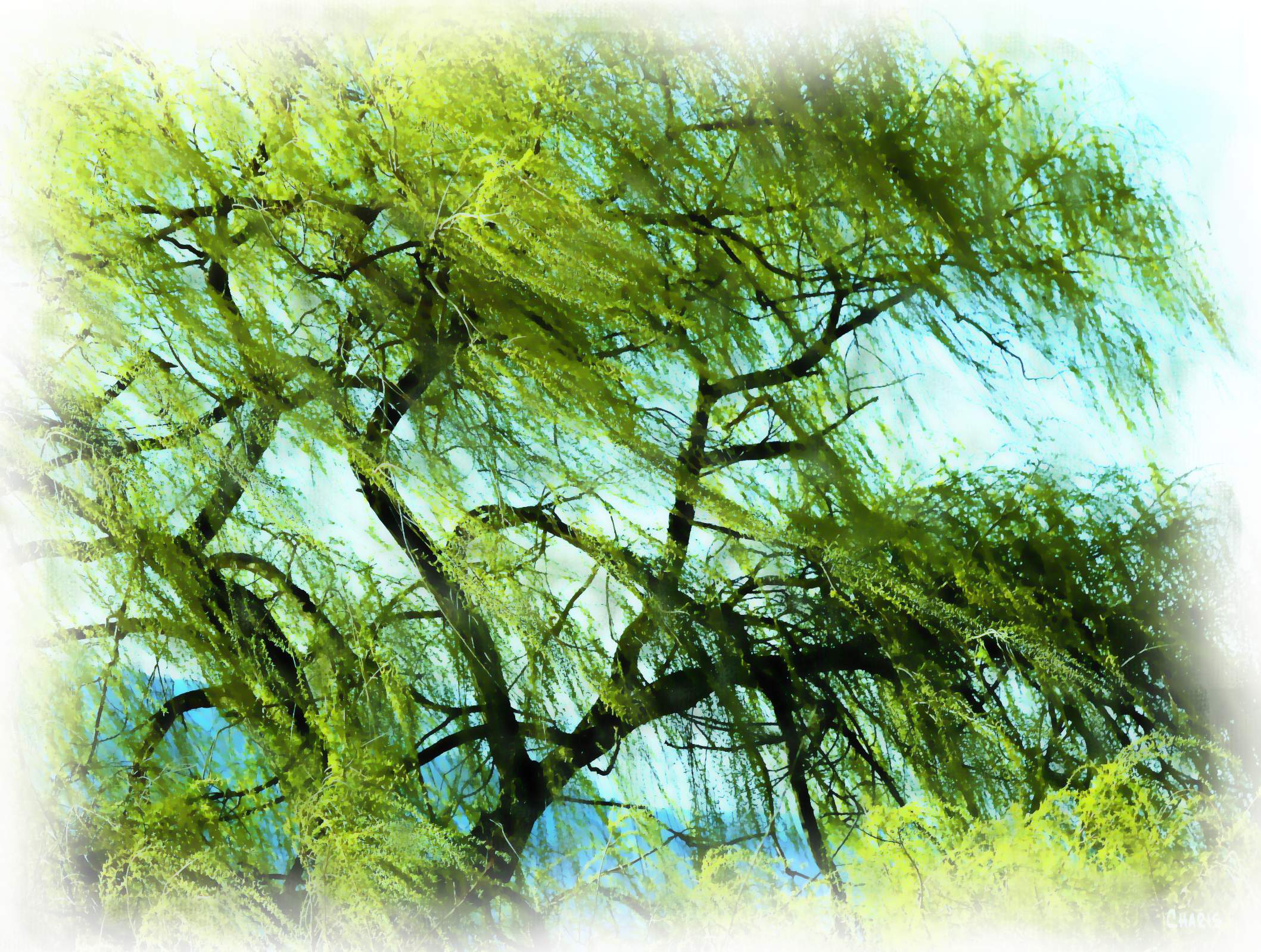 wind in the willow painting